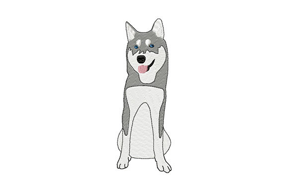 Cute Young Siberian Husky: A Designer's Apparel Review